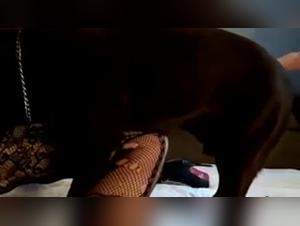 Sex videos with animals on Artofzoo