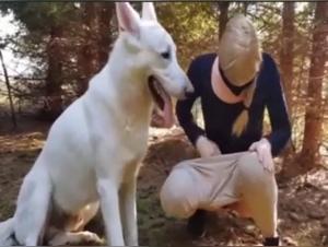 Woman and dog: an exciting zoophilia video