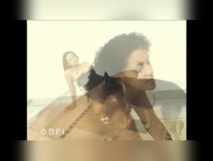 Understanding Zooxxx Pornography Laws