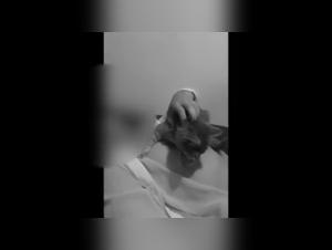 Donna e gatto si divertono allo zoo