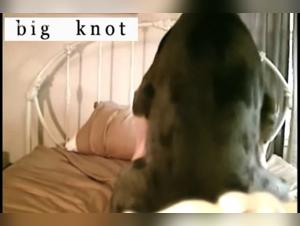 Bestiality sex video: Hard pounding with a dog
