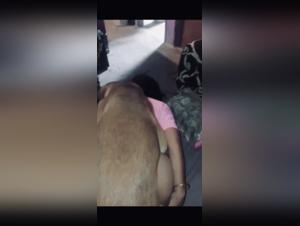 Die Intensitat der Zoofilia enthullt