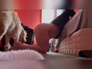 Delving into the Bestialzoo Realm