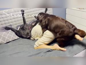 Veronica Silesto - A Forbidden Experience