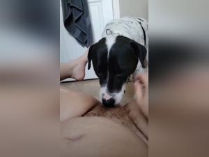 Sex with dog: a woman dares to go further with her dog