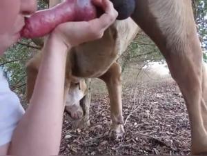 Bestial sex video: she can't resist the dog