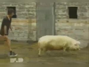 Wild Encounter: A Forbidden Love Story