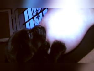 Feeding a dog with breast milk: a shocking scene of zoophilia