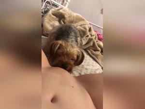 Teenage Girl and Dog: An Unexpected Sexual Encounter