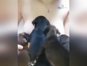 Allattamento bestiale: una donna e un cucciolo