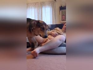 girl fucking dog xxxzoo