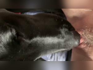 Forbidden love story: Woman and her dog