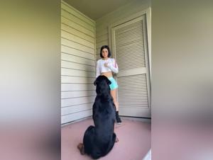 Dog training: a beastly experience