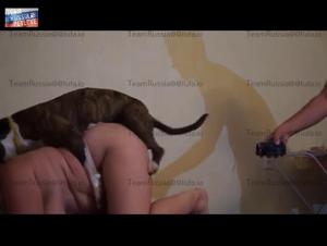 Bestiality: Woman and dog in an intimate relationship