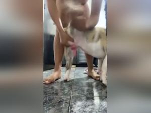 The Slutty Chick Who Got It On With Her Dog, a Sexy Video Porno Legend