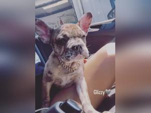 Woman submissive to her dog: a hard zoophilia video