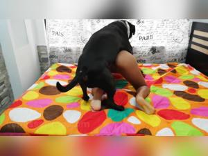 Extreme Animal Domination: Xiomara, Owned by Her Dogs