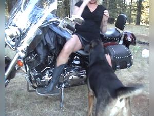 Woman on a motorcycle and dog: a beastly sex video
