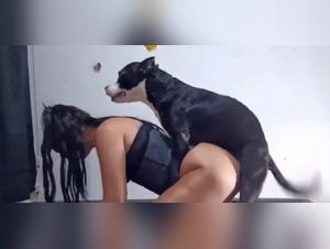 Forbidden Meeting: Woman and Dog