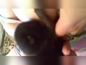 Pushing Boundaries: Artzoo and Bestiality