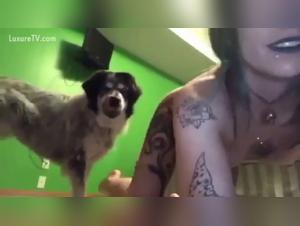 Bestiality and Zoophilia: A Woman and Her Dog in an Exciting Video