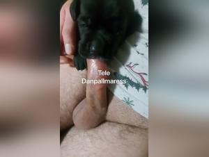 Into the Depths of Bestiality