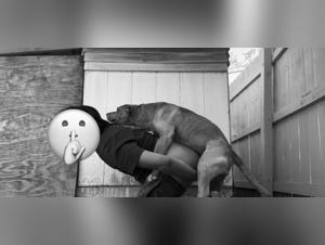 Forbidden Realms: Bestiality Unveiled