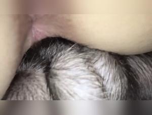 Latina and her dog: a night of extreme pleasure