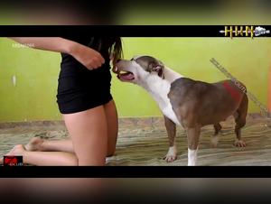 Bestiality sex video: a woman and her dog