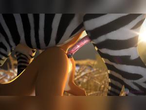 Bestial encounter between a zebra and a lion