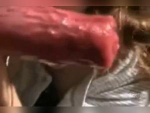 Amateur canine blowjob: a zoophilia video not to be missed