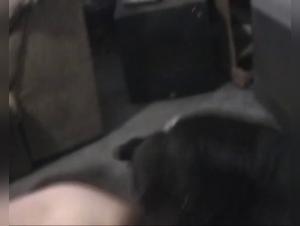 A beastly evening with Shawn, Kacey and their special guest