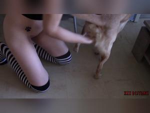 Jessy sexy love 4: A bestial and intense encounter