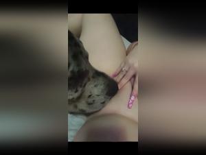 The Funniest Bestialities: Dog Porn Videos