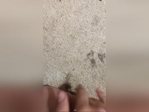 Good Boy: A Zoophilia Story - Dog Sex Video