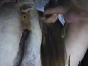 zooyouporn girl fucking dog