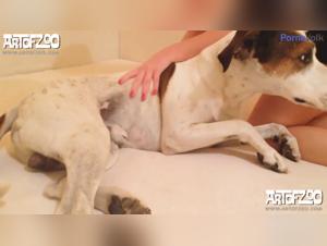 Gemini - A forbidden love story