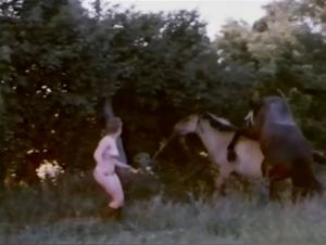 Young slut sucks dog during anallymous with owner