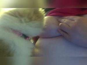 Intense Dog Sex Video: Breast Lick