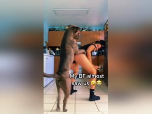 Latina in Public Twerking with a Pitbull on TikTok: Bestiality Zoophilia Sex Video