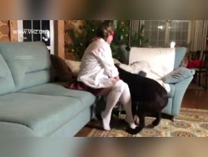 Sex with a Dog Video: A Bestial and Exciting Experience