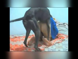 Brutal Bestiality: The Slut and Her Dog in Demonic Delights