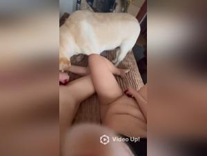 forbidden desires : canine entanglement in love