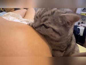 Tikzoo: Limites Difuminados