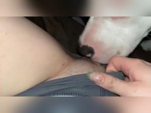 Submissive blonde and dog in a zoophilia video