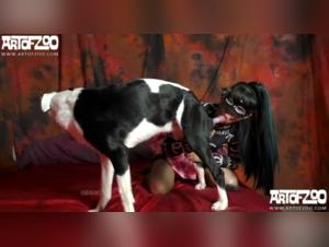 AOZ miss6: A bestial and passionate encounter