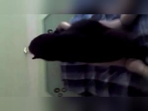 Bestiality Sex Video: Novinha and Her Best Friend