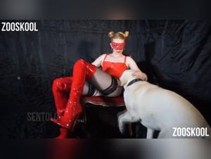 Pornos bestiales sexuales con perro caliente