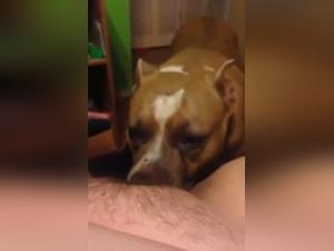 An unforgettable bestial encounter