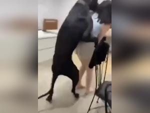 Vidéo de Bestialité - Une Expérience Extrême